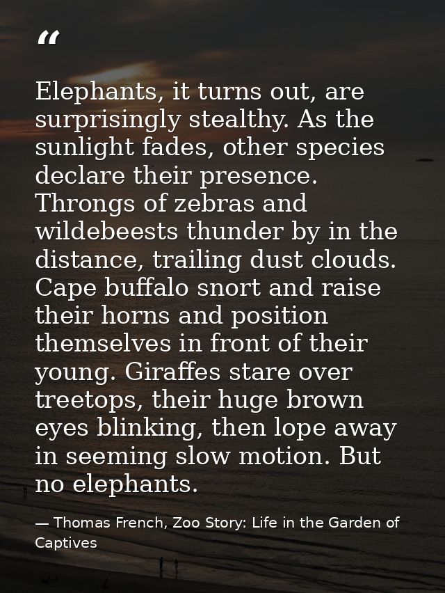 Elephants, it turns out, are surprisingly stealthy. As the sunlight fades, other species declare their presence. Throngs — Thomas French, Zoo Story: Life in the Garden of Captives