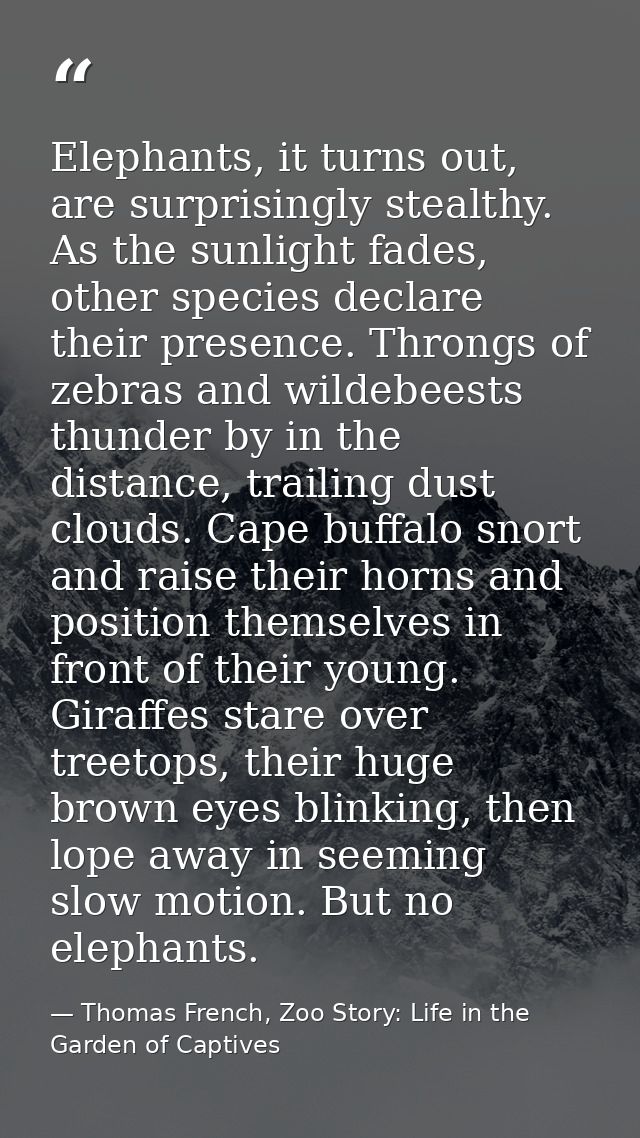 Elephants, it turns out, are surprisingly stealthy. As the sunlight fades, other species declare their presence. Throngs — Thomas French, Zoo Story: Life in the Garden of Captives