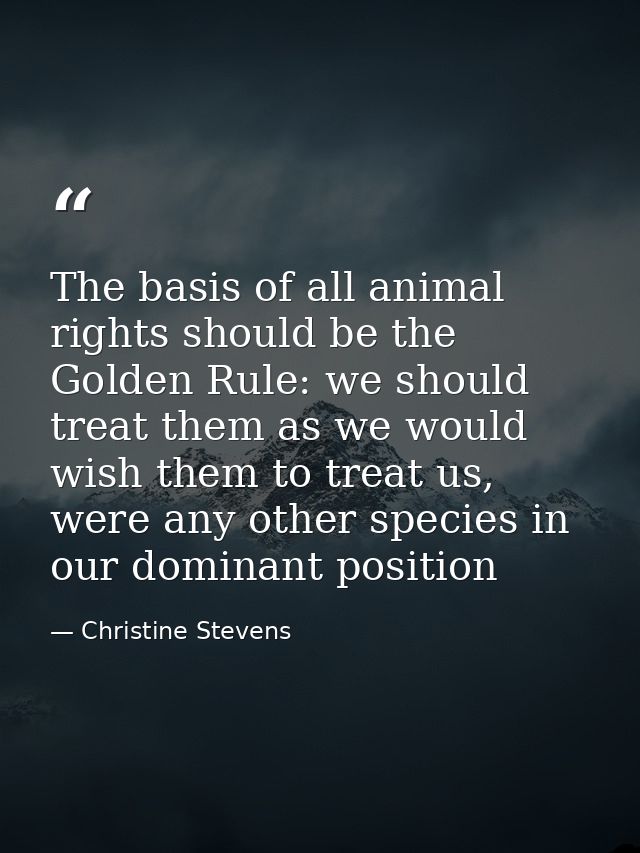 The basis of all animal rights should be the Golden Rule: we should treat them as we would wish them to treat us, were a — Christine Stevens