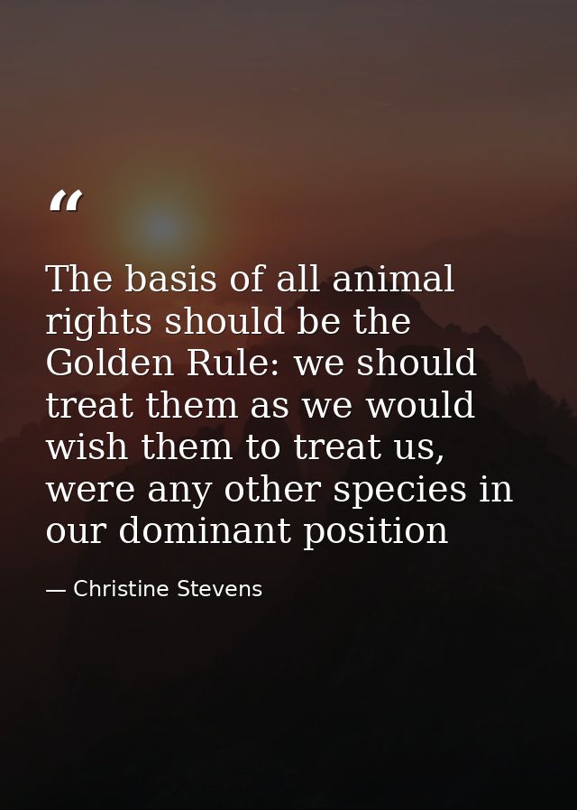 The basis of all animal rights should be the Golden Rule: we should treat them as we would wish them to treat us, were a — Christine Stevens