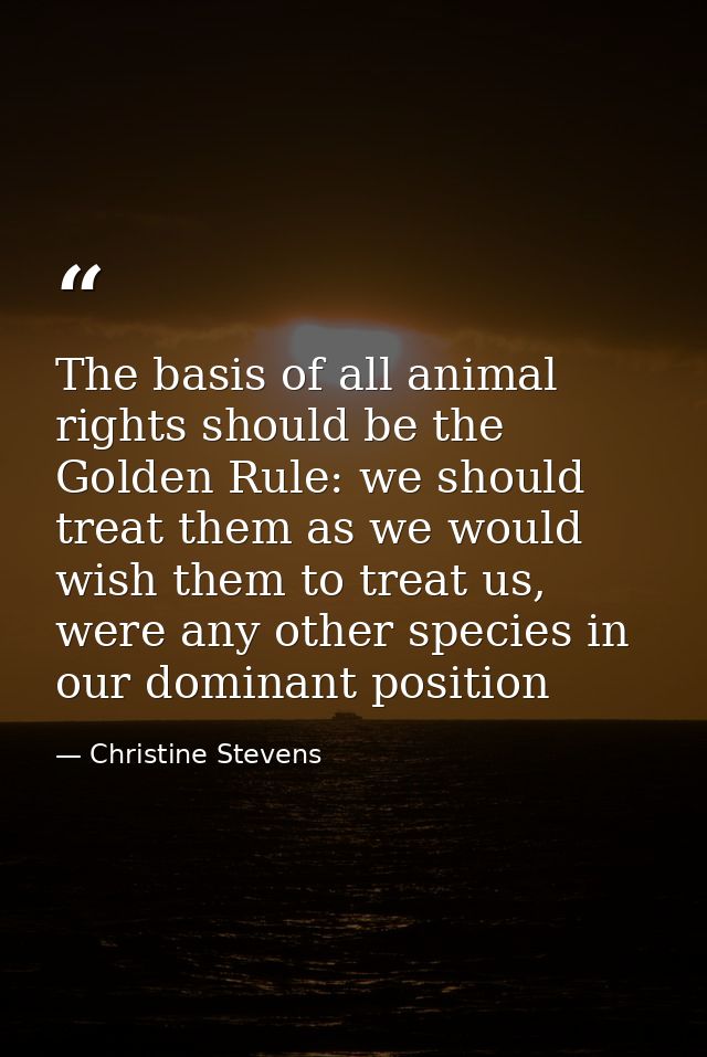 The basis of all animal rights should be the Golden Rule: we should treat them as we would wish them to treat us, were a — Christine Stevens