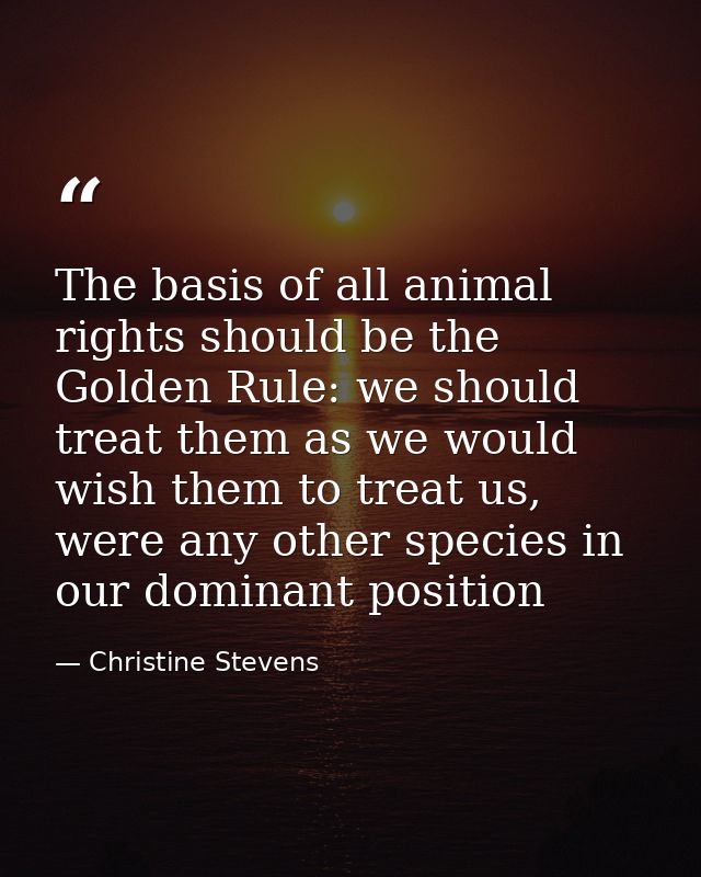 The basis of all animal rights should be the Golden Rule: we should treat them as we would wish them to treat us, were a — Christine Stevens