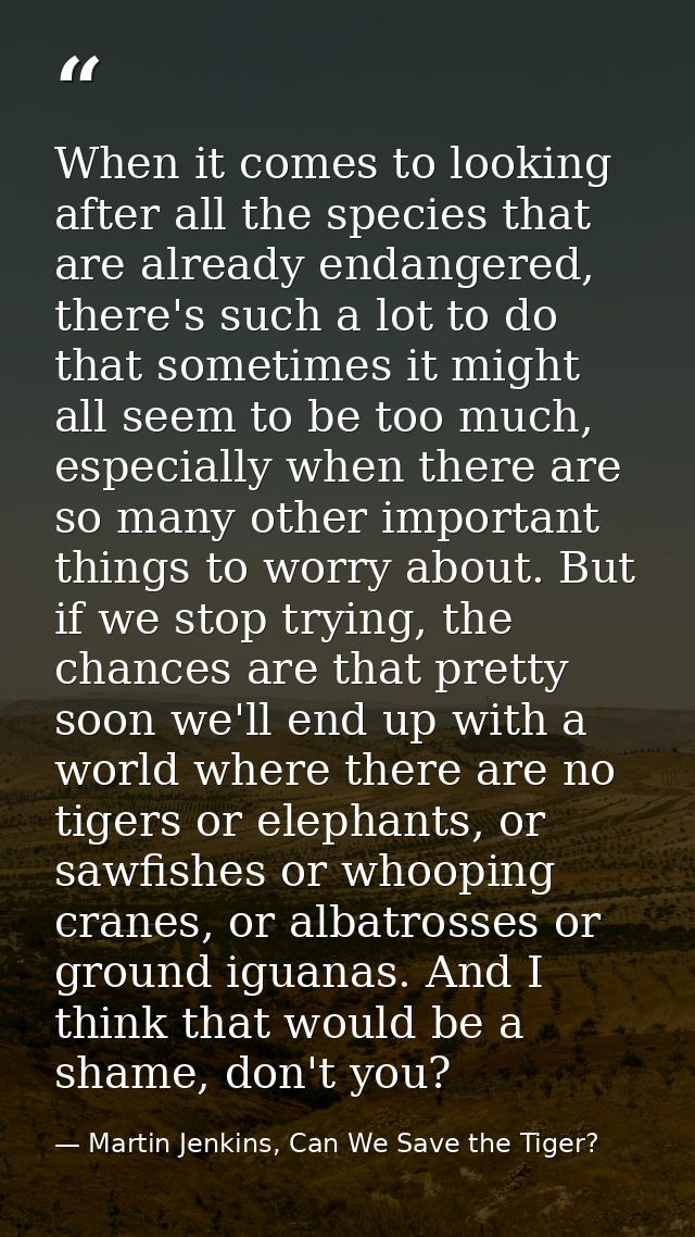 When it comes to looking after all the species that are already endangered, there's such a lot to do that sometimes it m — Martin Jenkins, Can We Save the Tiger?