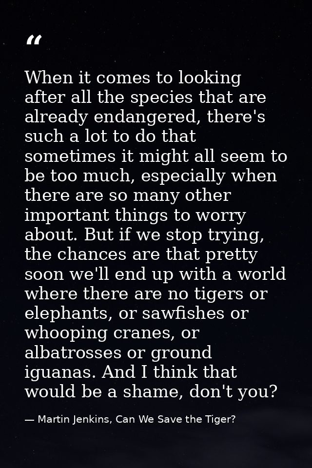 When it comes to looking after all the species that are already endangered, there's such a lot to do that sometimes it m — Martin Jenkins, Can We Save the Tiger?