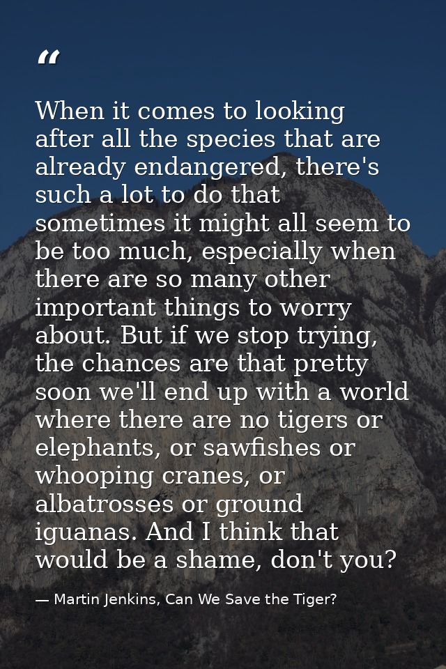 When it comes to looking after all the species that are already endangered, there's such a lot to do that sometimes it m — Martin Jenkins, Can We Save the Tiger?