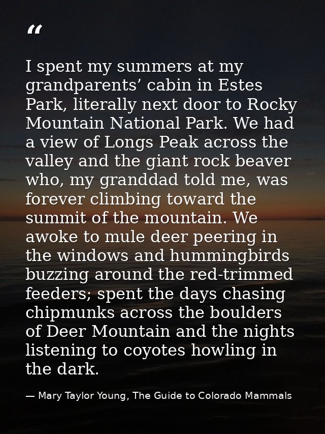 I spent my summers at my grandparents’ cabin in Estes Park, literally next door to Rocky Mountain National Park. We had  — Mary Taylor Young, The Guide to Colorado Mammals