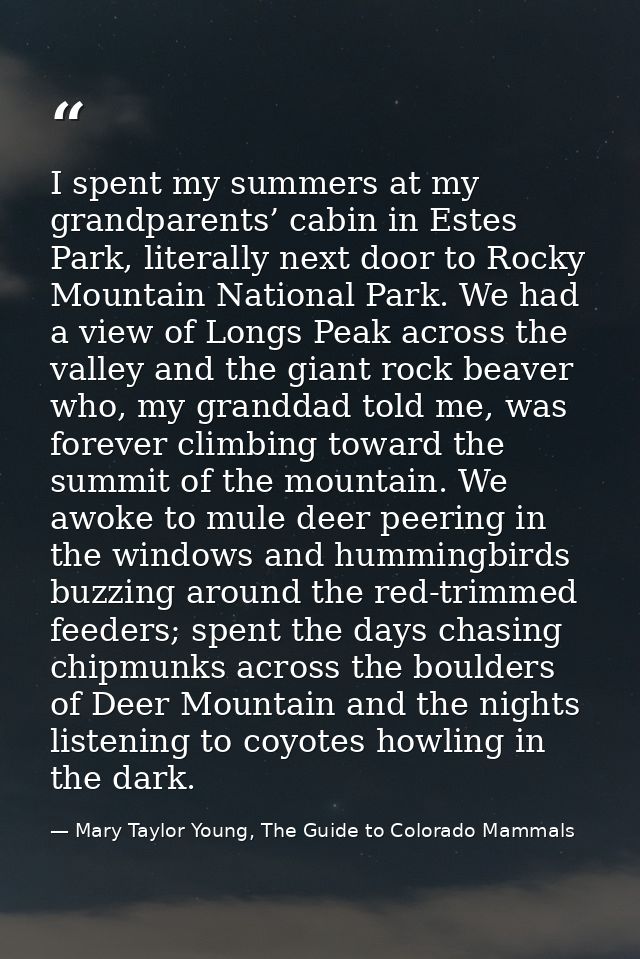 I spent my summers at my grandparents’ cabin in Estes Park, literally next door to Rocky Mountain National Park. We had  — Mary Taylor Young, The Guide to Colorado Mammals