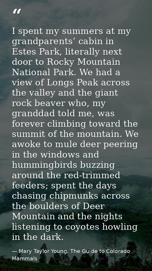 I spent my summers at my grandparents’ cabin in Estes Park, literally next door to Rocky Mountain National Park. We had  — Mary Taylor Young, The Guide to Colorado Mammals