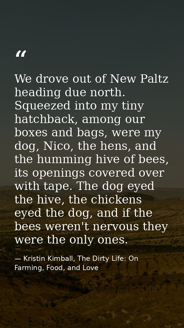 We drove out of New Paltz heading due north. Squeezed into my tiny hatchback, among our boxes and bags, were my dog, Nic — Kristin Kimball, The Dirty Life: On Farming, Food, and Love