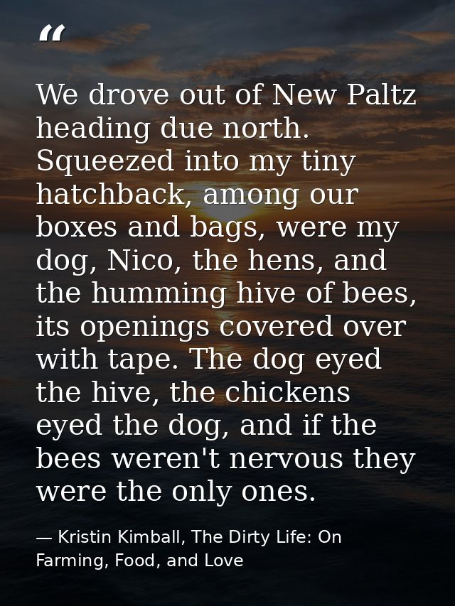 We drove out of New Paltz heading due north. Squeezed into my tiny hatchback, among our boxes and bags, were my dog, Nic — Kristin Kimball, The Dirty Life: On Farming, Food, and Love