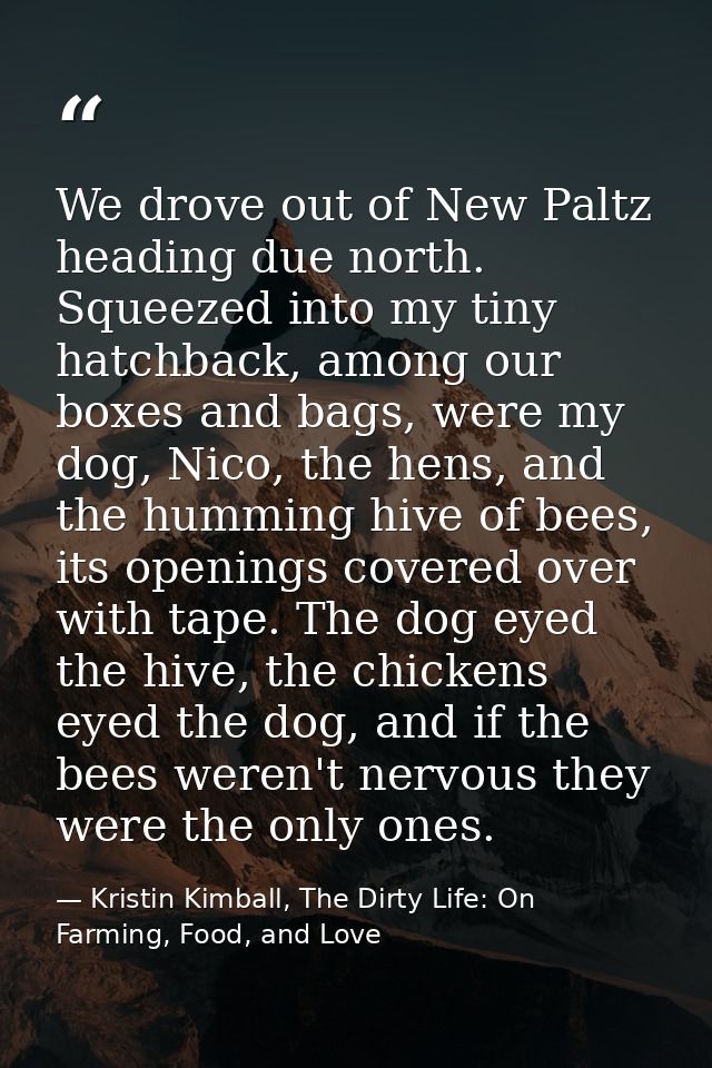 We drove out of New Paltz heading due north. Squeezed into my tiny hatchback, among our boxes and bags, were my dog, Nic — Kristin Kimball, The Dirty Life: On Farming, Food, and Love