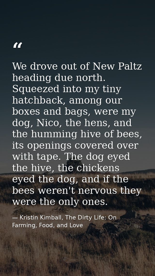 We drove out of New Paltz heading due north. Squeezed into my tiny hatchback, among our boxes and bags, were my dog, Nic — Kristin Kimball, The Dirty Life: On Farming, Food, and Love