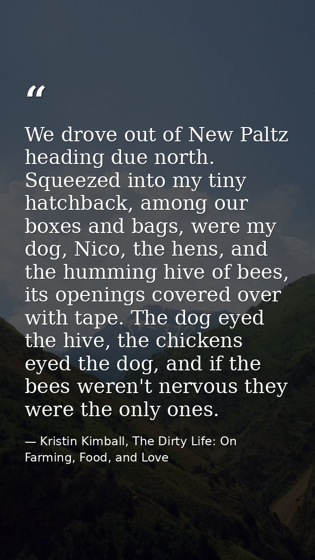 We drove out of New Paltz heading due north. Squeezed into my tiny hatchback, among our boxes and bags, were my dog, Nic — Kristin Kimball, The Dirty Life: On Farming, Food, and Love