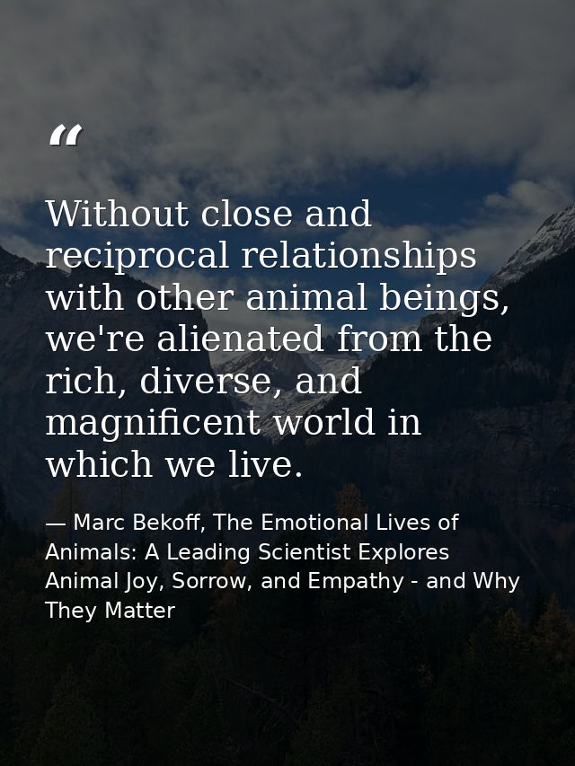 Without close and reciprocal relationships with other animal beings, we're alienated from the rich, diverse, and magnifi — Marc Bekoff, The Emotional Lives of Animals: A Leading Scientist Explores Animal Joy, Sorrow, and Empathy - and Why They Matter