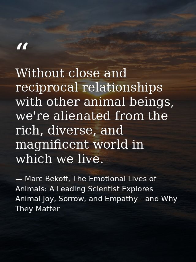 Without close and reciprocal relationships with other animal beings, we're alienated from the rich, diverse, and magnifi — Marc Bekoff, The Emotional Lives of Animals: A Leading Scientist Explores Animal Joy, Sorrow, and Empathy - and Why They Matter