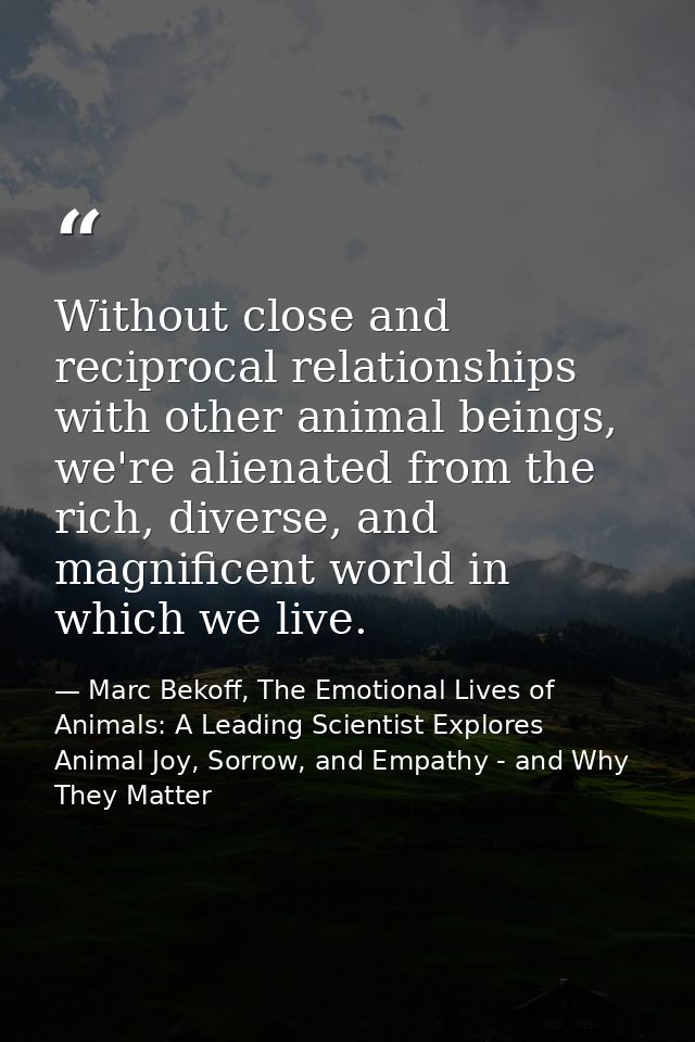 Without close and reciprocal relationships with other animal beings, we're alienated from the rich, diverse, and magnifi — Marc Bekoff, The Emotional Lives of Animals: A Leading Scientist Explores Animal Joy, Sorrow, and Empathy - and Why They Matter