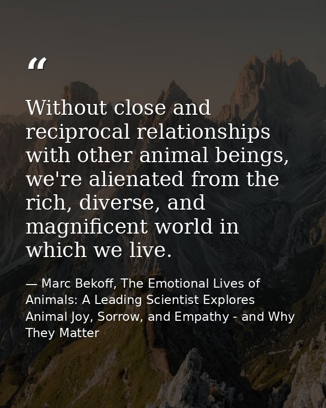 Without close and reciprocal relationships with other animal beings, we're alienated from the rich, diverse, and magnifi — Marc Bekoff, The Emotional Lives of Animals: A Leading Scientist Explores Animal Joy, Sorrow, and Empathy - and Why They Matter