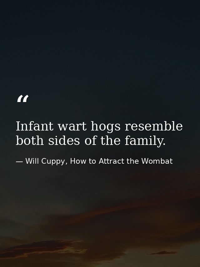 Infant wart hogs resemble both sides of the family. — Will Cuppy, How to Attract the Wombat