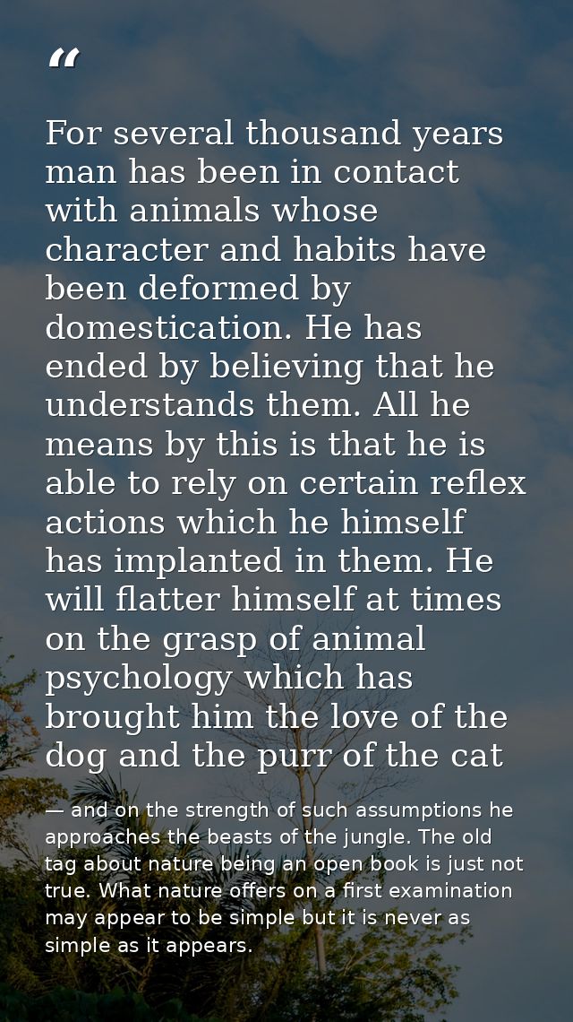 For several thousand years man has been in contact with animals whose character and habits have been deformed by domesti — and on the strength of such assumptions he approaches the beasts of the jungle. The old tag about nature being an open book is just not true. What nature offers on a first examination may appear to be simple but it is never as simple as it appears.