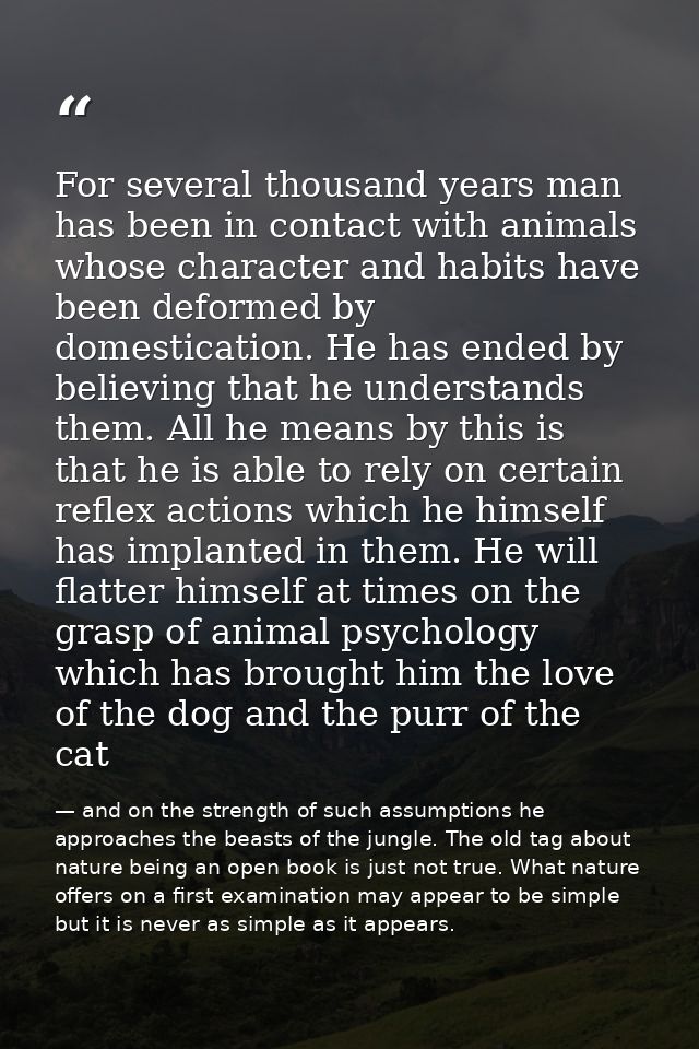 For several thousand years man has been in contact with animals whose character and habits have been deformed by domesti — and on the strength of such assumptions he approaches the beasts of the jungle. The old tag about nature being an open book is just not true. What nature offers on a first examination may appear to be simple but it is never as simple as it appears.