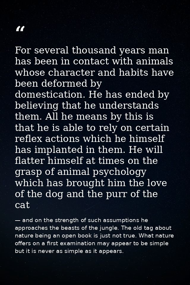 For several thousand years man has been in contact with animals whose character and habits have been deformed by domesti — and on the strength of such assumptions he approaches the beasts of the jungle. The old tag about nature being an open book is just not true. What nature offers on a first examination may appear to be simple but it is never as simple as it appears.
