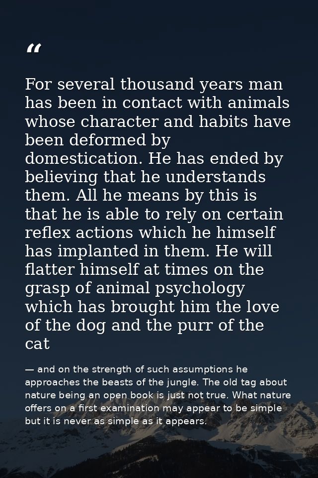 For several thousand years man has been in contact with animals whose character and habits have been deformed by domesti — and on the strength of such assumptions he approaches the beasts of the jungle. The old tag about nature being an open book is just not true. What nature offers on a first examination may appear to be simple but it is never as simple as it appears.