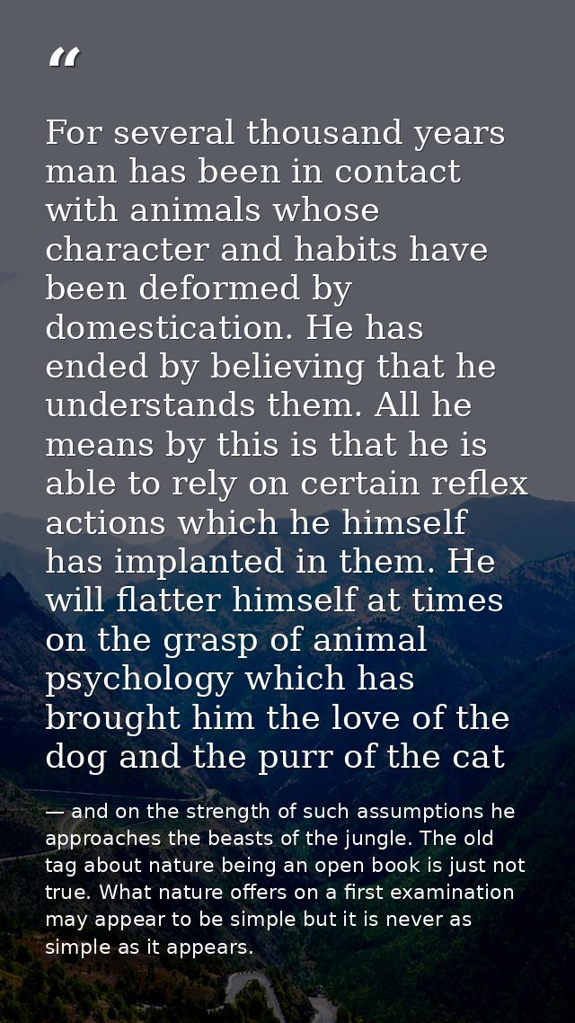 For several thousand years man has been in contact with animals whose character and habits have been deformed by domesti — and on the strength of such assumptions he approaches the beasts of the jungle. The old tag about nature being an open book is just not true. What nature offers on a first examination may appear to be simple but it is never as simple as it appears.