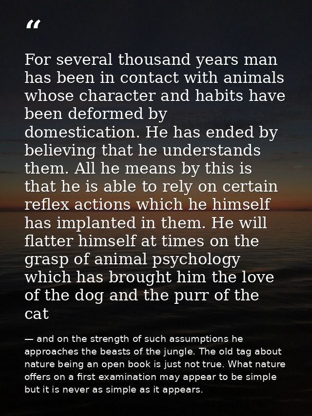 For several thousand years man has been in contact with animals whose character and habits have been deformed by domesti — and on the strength of such assumptions he approaches the beasts of the jungle. The old tag about nature being an open book is just not true. What nature offers on a first examination may appear to be simple but it is never as simple as it appears.
