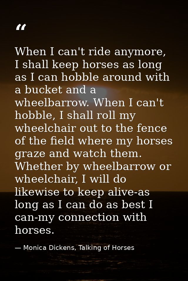 When I can't ride anymore, I shall keep horses as long as I can hobble around with a bucket and a wheelbarrow. When I ca — Monica Dickens, Talking of Horses