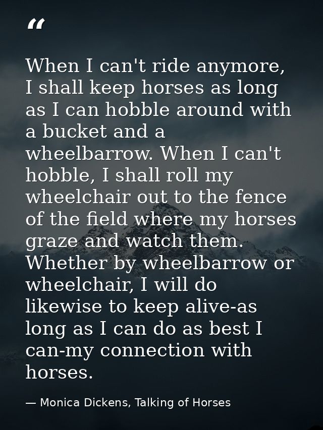 When I can't ride anymore, I shall keep horses as long as I can hobble around with a bucket and a wheelbarrow. When I ca — Monica Dickens, Talking of Horses