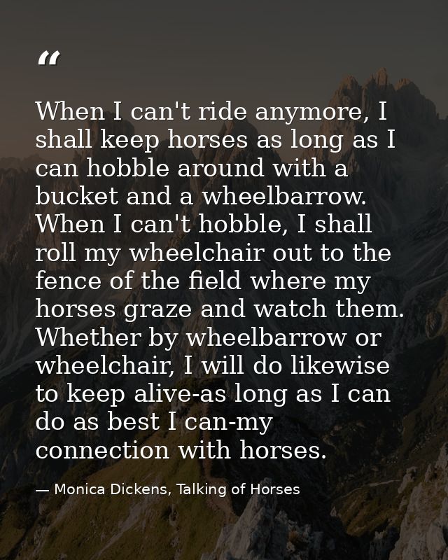 When I can't ride anymore, I shall keep horses as long as I can hobble around with a bucket and a wheelbarrow. When I ca — Monica Dickens, Talking of Horses