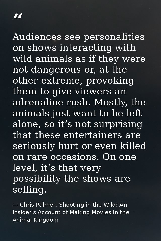 Audiences see personalities on shows interacting with wild animals as if they were not dangerous or, at the other extrem — Chris Palmer, Shooting in the Wild: An Insider's Account of Making Movies in the Animal Kingdom