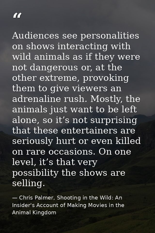Audiences see personalities on shows interacting with wild animals as if they were not dangerous or, at the other extrem — Chris Palmer, Shooting in the Wild: An Insider's Account of Making Movies in the Animal Kingdom