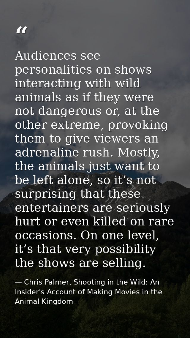Audiences see personalities on shows interacting with wild animals as if they were not dangerous or, at the other extrem — Chris Palmer, Shooting in the Wild: An Insider's Account of Making Movies in the Animal Kingdom