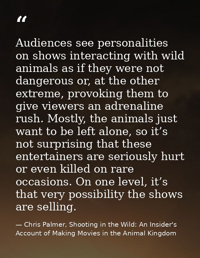 Audiences see personalities on shows interacting with wild animals as if they were not dangerous or, at the other extrem — Chris Palmer, Shooting in the Wild: An Insider's Account of Making Movies in the Animal Kingdom