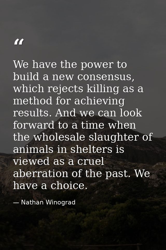 We have the power to build a new consensus, which rejects killing as a method for achieving results. And we can look for — Nathan Winograd