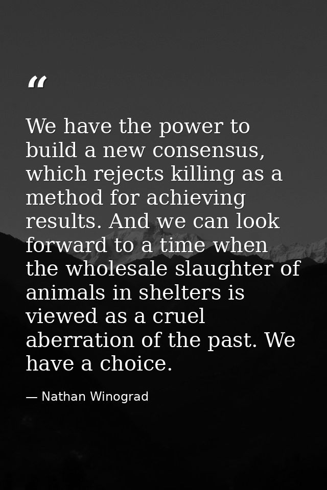 We have the power to build a new consensus, which rejects killing as a method for achieving results. And we can look for — Nathan Winograd