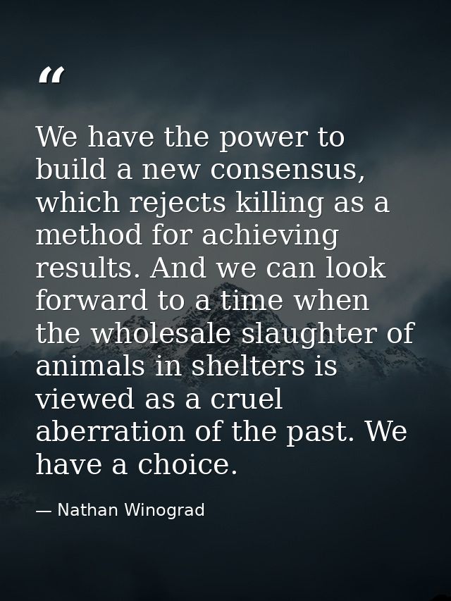 We have the power to build a new consensus, which rejects killing as a method for achieving results. And we can look for — Nathan Winograd