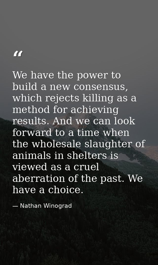 We have the power to build a new consensus, which rejects killing as a method for achieving results. And we can look for — Nathan Winograd