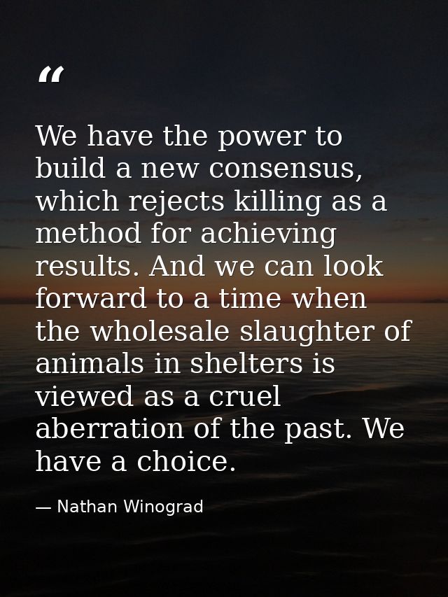 We have the power to build a new consensus, which rejects killing as a method for achieving results. And we can look for — Nathan Winograd