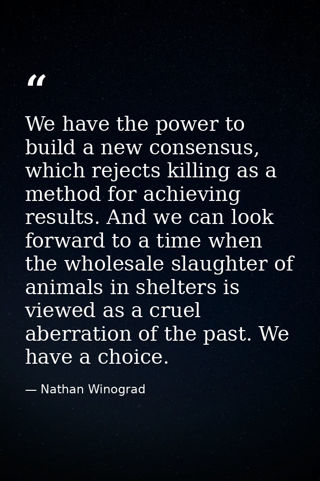 We have the power to build a new consensus, which rejects killing as a method for achieving results. And we can look for — Nathan Winograd