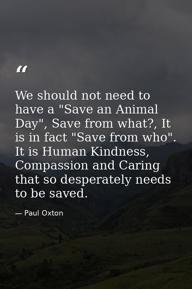We should not need to have a "Save an Animal Day", Save from what?, It is in fact "Save from who". It is Human Kindness, — Paul Oxton