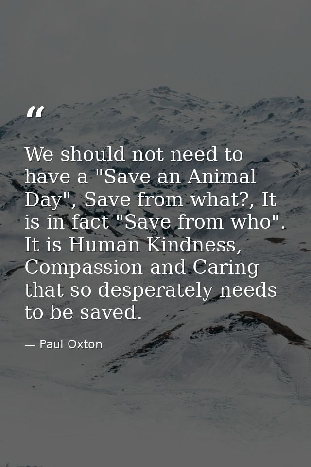 We should not need to have a "Save an Animal Day", Save from what?, It is in fact "Save from who". It is Human Kindness, — Paul Oxton