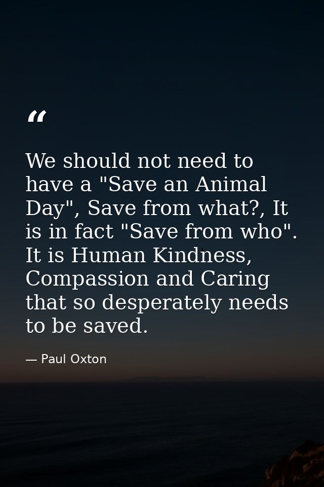 We should not need to have a "Save an Animal Day", Save from what?, It is in fact "Save from who". It is Human Kindness, — Paul Oxton