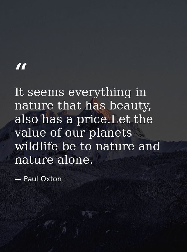 It seems everything in nature that has beauty, also has a price.Let the value of our planets wildlife be to nature and n — Paul Oxton