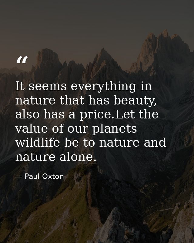 It seems everything in nature that has beauty, also has a price.Let the value of our planets wildlife be to nature and n — Paul Oxton