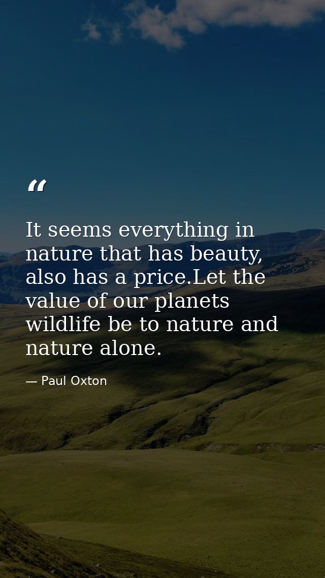 It seems everything in nature that has beauty, also has a price.Let the value of our planets wildlife be to nature and n — Paul Oxton