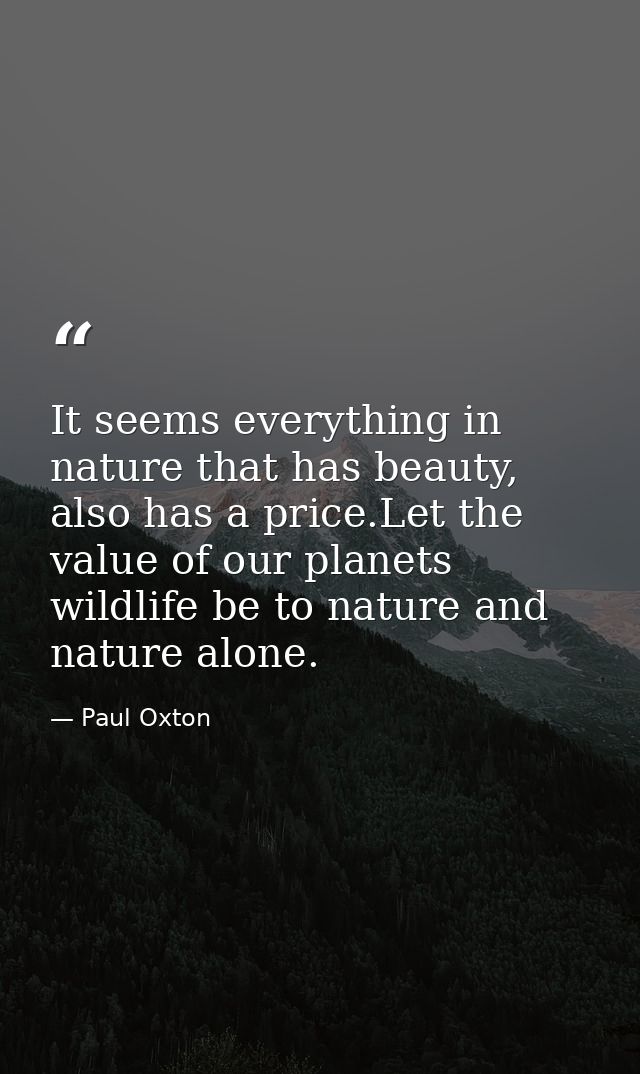 It seems everything in nature that has beauty, also has a price.Let the value of our planets wildlife be to nature and n — Paul Oxton