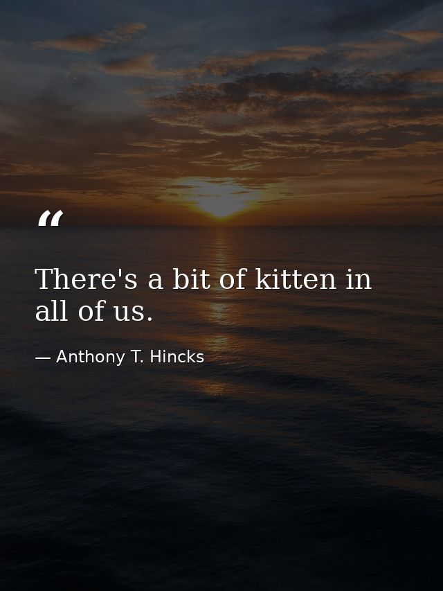 There's a bit of kitten in all of us. — Anthony T. Hincks