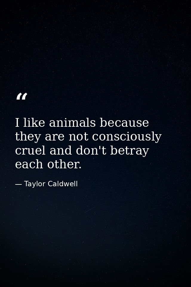 I like animals because they are not consciously cruel and don't betray each other. — Taylor Caldwell